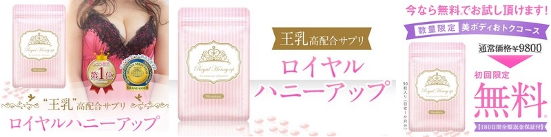 ���{�f�B�T�v���u���C�����n�j�[�A�b�v�v���T�C�g